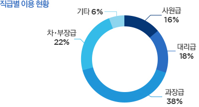 직급별이용현황(사원급16%,대리급18%,과장급38%,차부장급22%,기타6%)